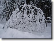 Zima na Vyso�in�