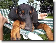 N� mil��ek Corinka