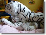 na�e n�hradn� maminka je ply�ov�