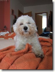 M� se v�bec nechce spinkat .... chrp��������