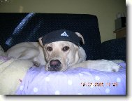 Tak jak mi slu�� k�ilt??:)