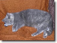 Tak, kde ten T�ta je?