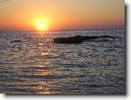 Den se probouz� .....