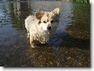 Ben��ek se koupe