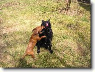 na�e spokojen� holky