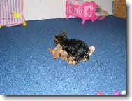 TR�NOVATSE TO MUS� V KA�D�M V�KU