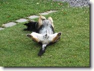 Je�t�, kdyby m� tak n�kdo p�i�el podrbat