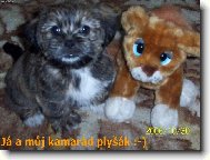 Ronny - 1,5 m�s�ce