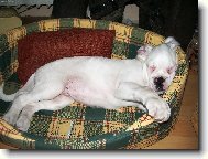 M�j nov� kamar�d