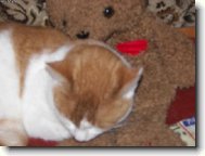 Ve dvou se n�m nejl�p sp� :-)