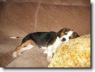 Odpoledn� odpo�inek