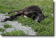 Nechte m� sp�t ...