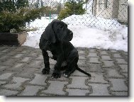 Tady te� budu bydlet?