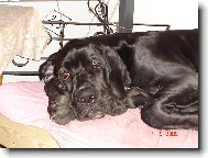 Nen� nad pohodl� - kdy� holt nen� pol�t��ek.......