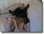 ..u� se nechci koupat...