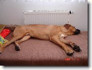 �t���tko sp�