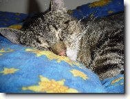 V pe�ince je nejl�pe