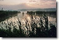 Mlhav� sv�t�n� v Pood��