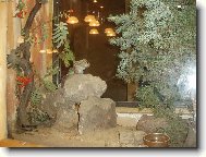 burunduk ply���ek