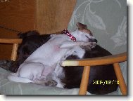 odpoledn� siesta