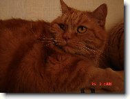 Vysava� je m�m nep��telem.