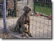 Nen� nad pohodl�