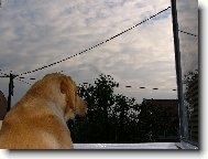 Tak m�m j�t ven, nebo nem�m