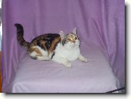 Jsem tak� v�stavn� kus