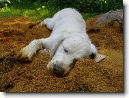 j� us�n�m v�ude...��dn� probl�m