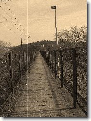 Most " inteligence "