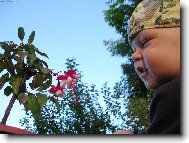 Von� ..... nevon�?