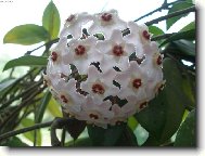 na�e kyti�kaaa =)