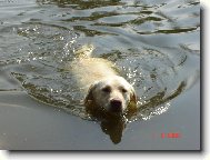 Voda je m�j �ivel...