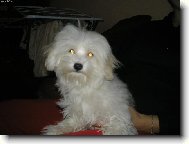 na�e beru�ka S�rinka