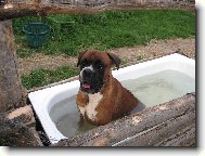 N� sany se moc r�d koupe