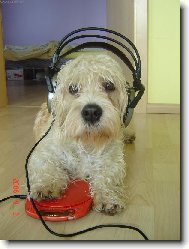 M�m tu nejlep�� muziku!!!