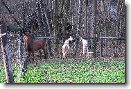 kdo vysko�� v�?