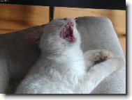 Kdo se sm�je naposled...