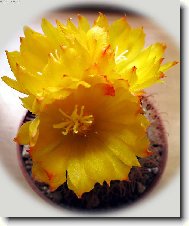 na�e nejmilej��:-)