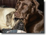 ...prost� se m�me r�di!