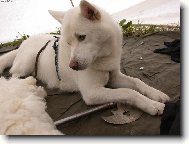 To u� v�n� jedeme zase domu????