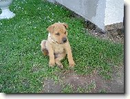 mim�......n�co m� sv�d�....