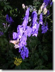 om�j na Sejfsk�m potoce