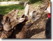 M� n�co dobr�ho??