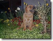 Jsem stejn� bo�sk� jako m� jm�no: Amon-Ra