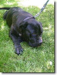 To jsem ale unaven�