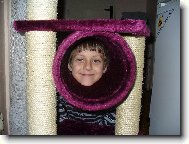 Zaj�mav� kocour...,�e by nov� rasa?