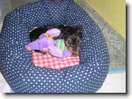 na�e mal� Nathaly