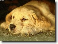 Kone�n� n�jak� odpo��nek