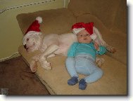 V�no�n� odpo�inek